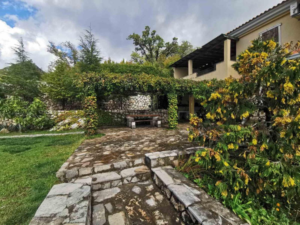 Lux Villa Provence Μπούντβα Εξωτερικό φωτογραφία