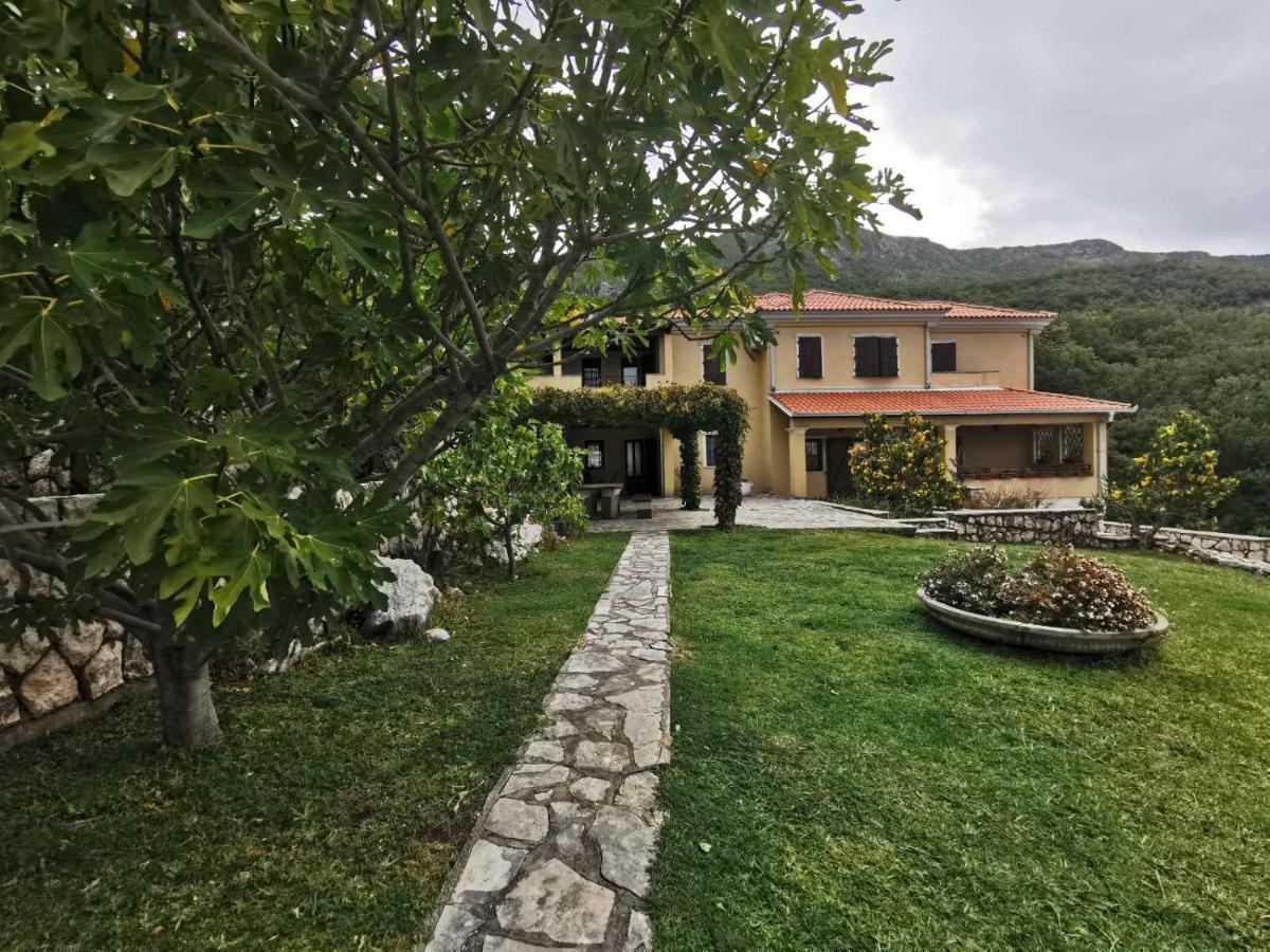 Lux Villa Provence Μπούντβα Εξωτερικό φωτογραφία