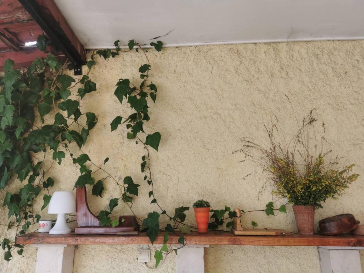 Lux Villa Provence Μπούντβα Εξωτερικό φωτογραφία